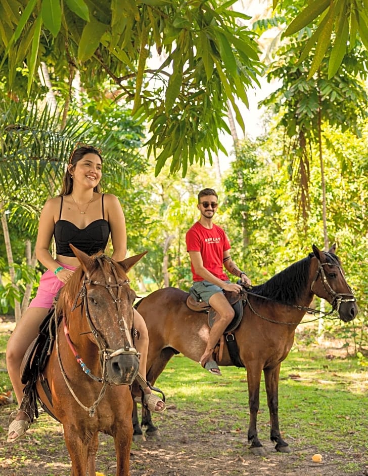 Pousada Paraíso dos Coqueirais