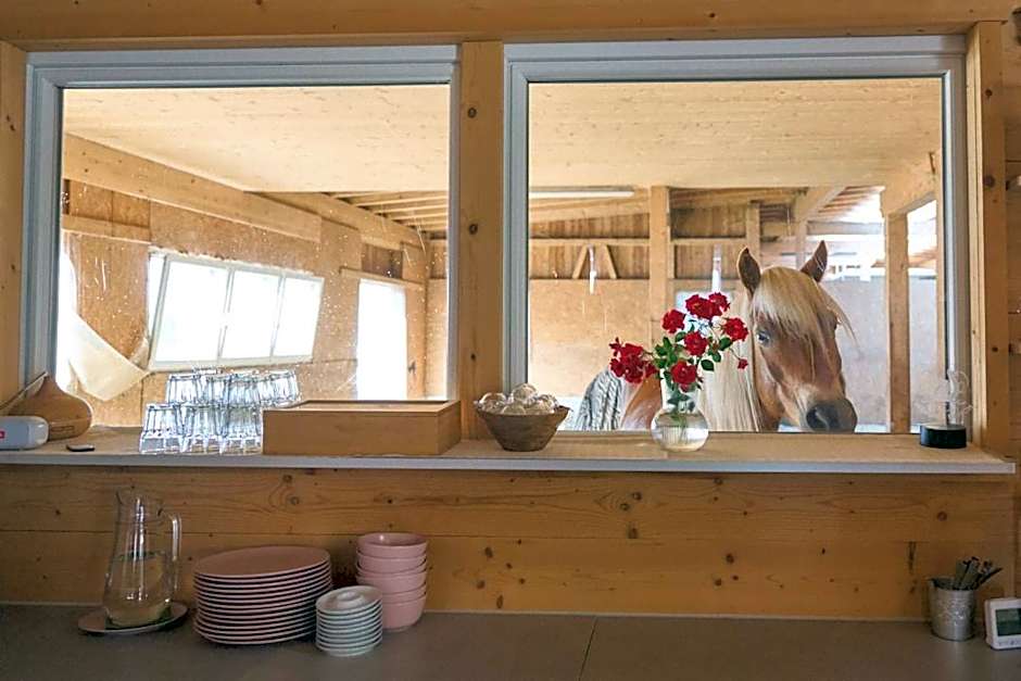 B&B Margit's Ranch Urlaub am Pferdehof