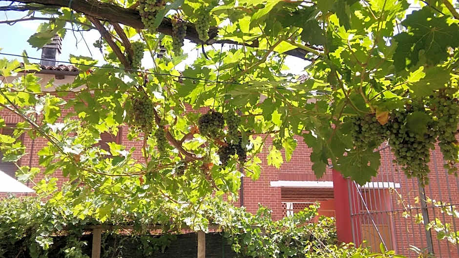 B&B Ma Maison