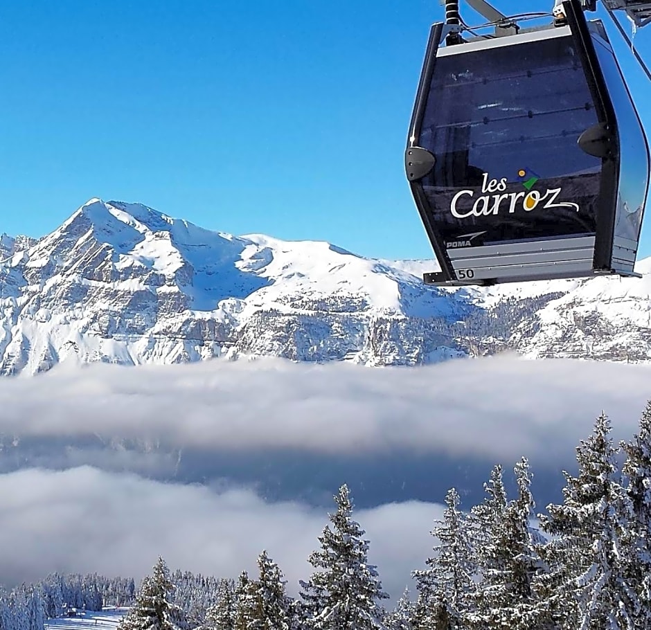 Chalet Arpitan - rentals