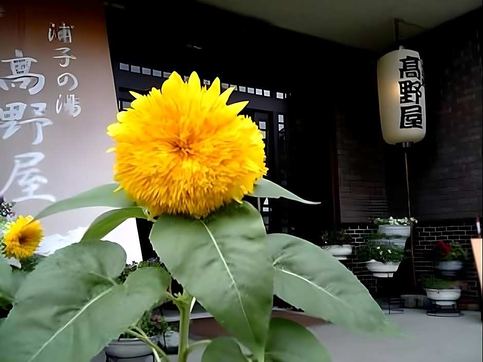 Takanoya Hotel