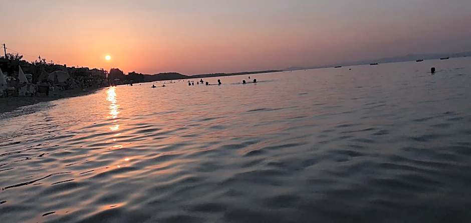 Polychrono GREEN GARDENS