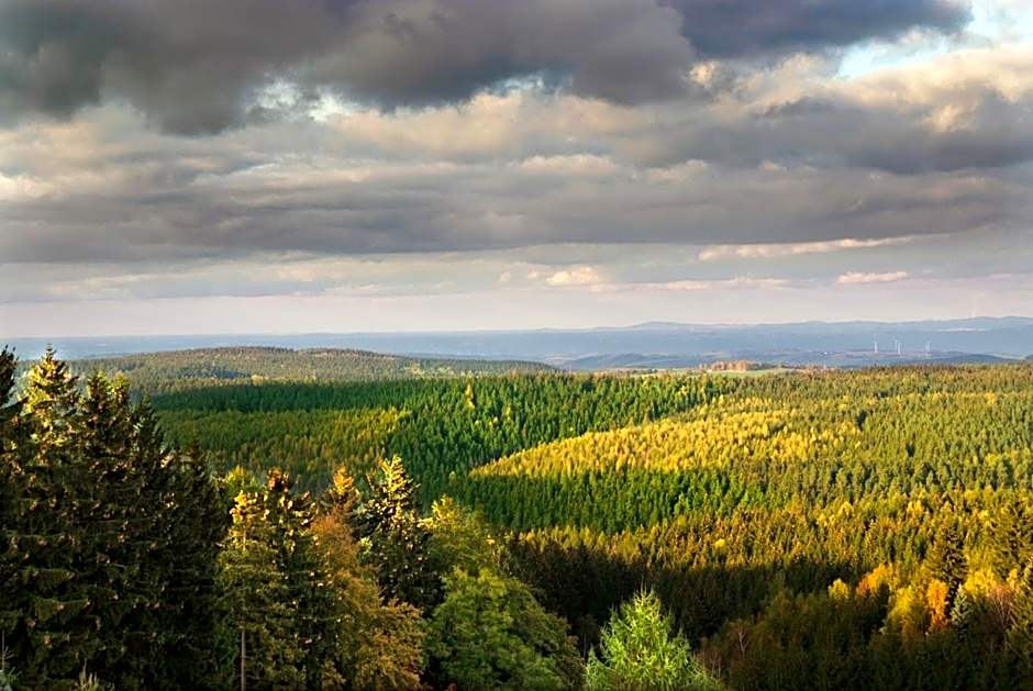 Berghotel Friedrichshöhe - Sauna, Pool & Natur
