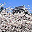 Hotel Waltz Okazaki - Adult Only