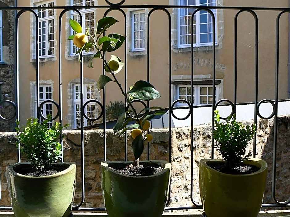 Appartement Relais Saint Pavin