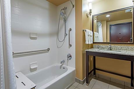 1 King Bed Standard Comm Accessible