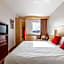 Ibis Plzen