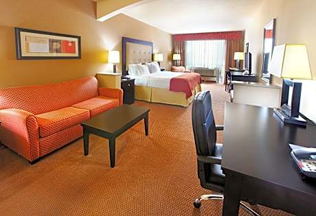 1 King Suite Non-Smoking