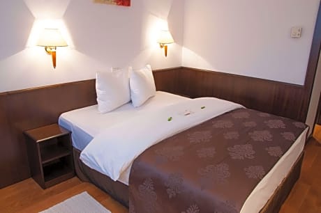 1 Double Bed, Non-Smoking, Standard Room, Wi-Fi, Air-Conditioned, Mini Bar, Shower, Full Breakfast