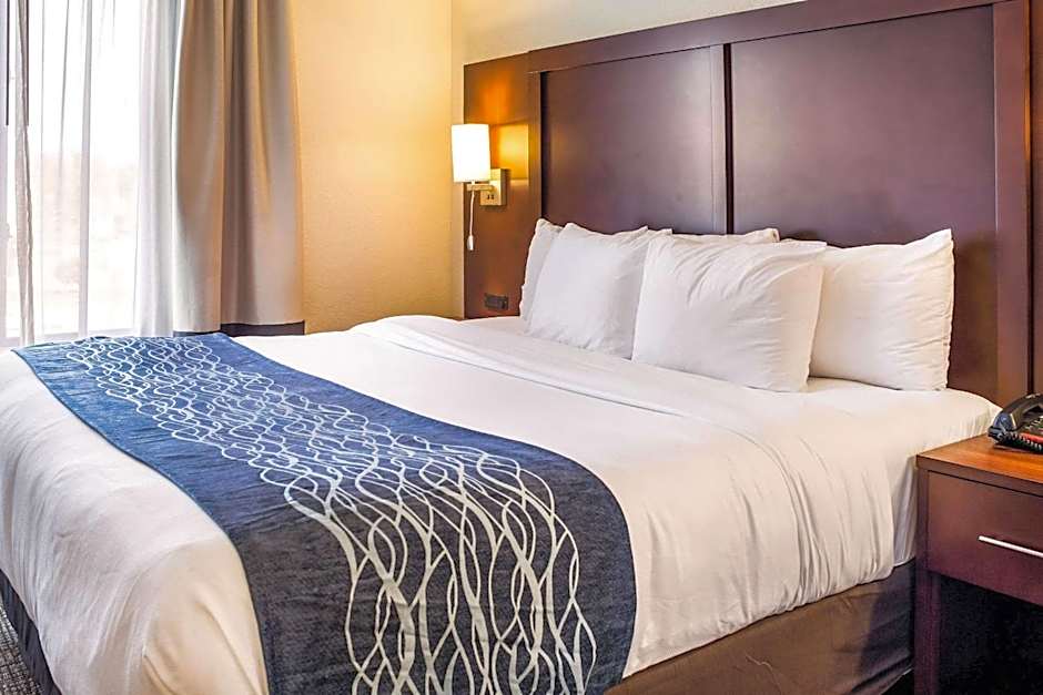 Comfort Inn & Suites Niagara Falls Blvd USA