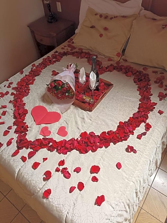 HOTEL PLAZA VASCO