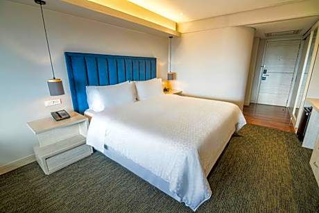 Deluxe King Room with Roll-In Shower - Mobility Accessible