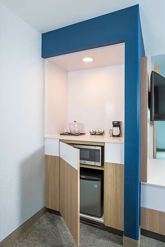 SpringHill Suites St. Paul Downtown