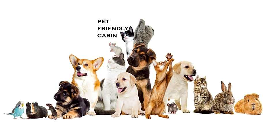 Australian Motor Home Tourist Park Twelve Mile Creek