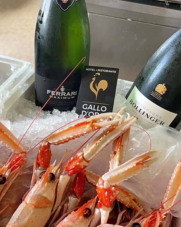 Hotel Ristorante Gallo D'Oro