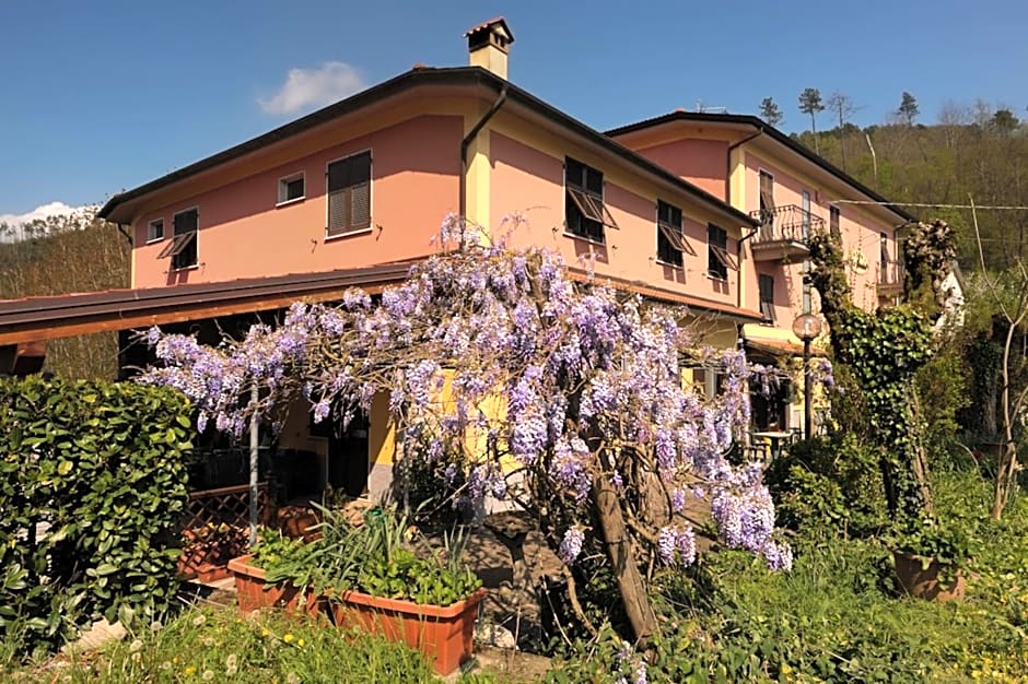 Le Rondini