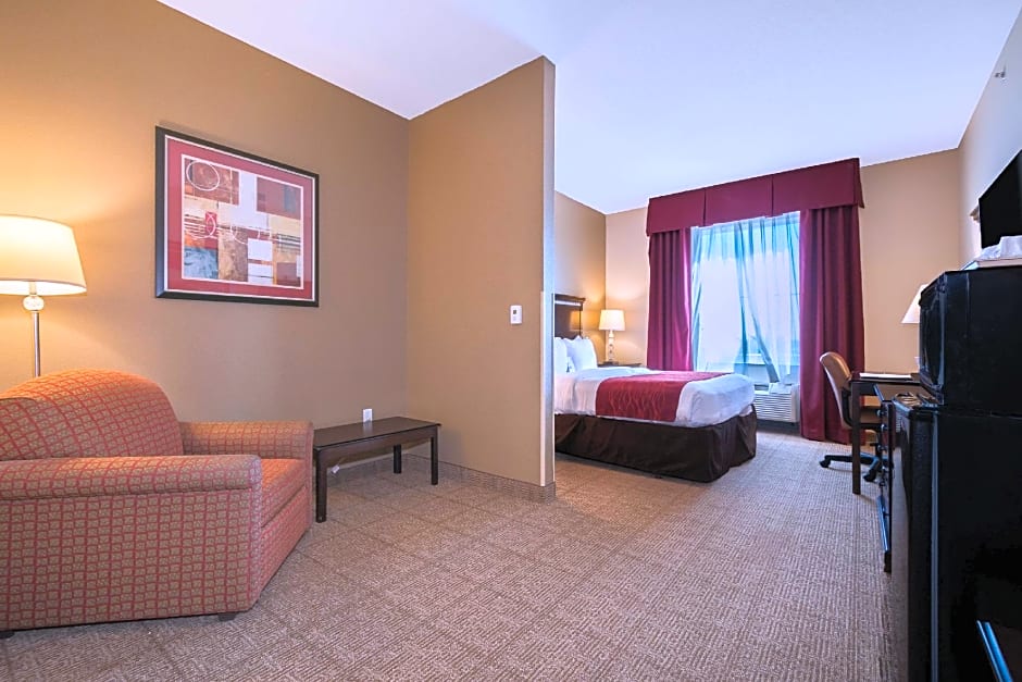 Comfort Inn & Suites Maingate South