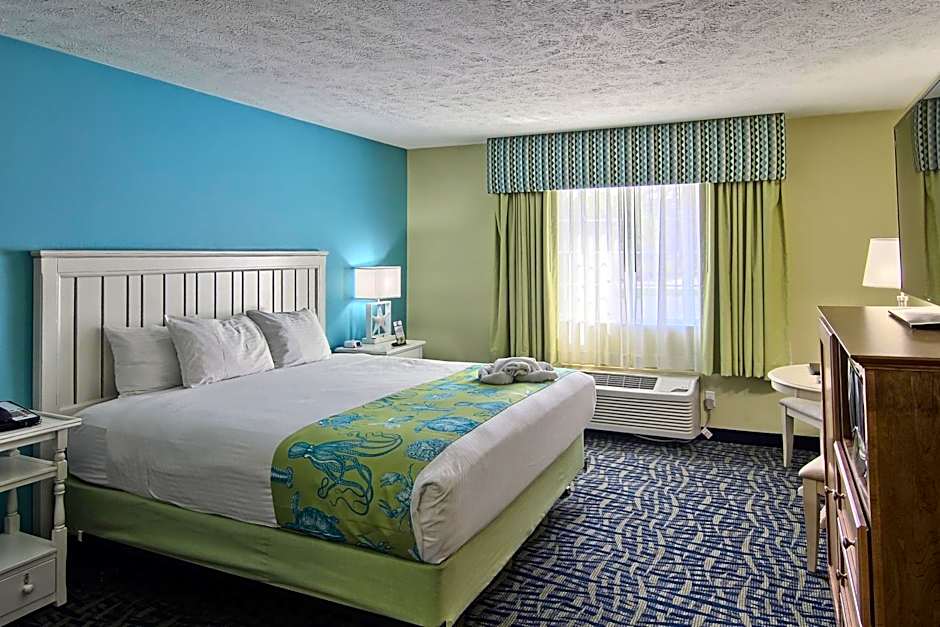 Photo 1 of 6 of 1 King Bed, Accessible