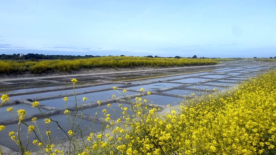 La Passerose 3 pièces avec jardin au calme,à 300m de la plage,