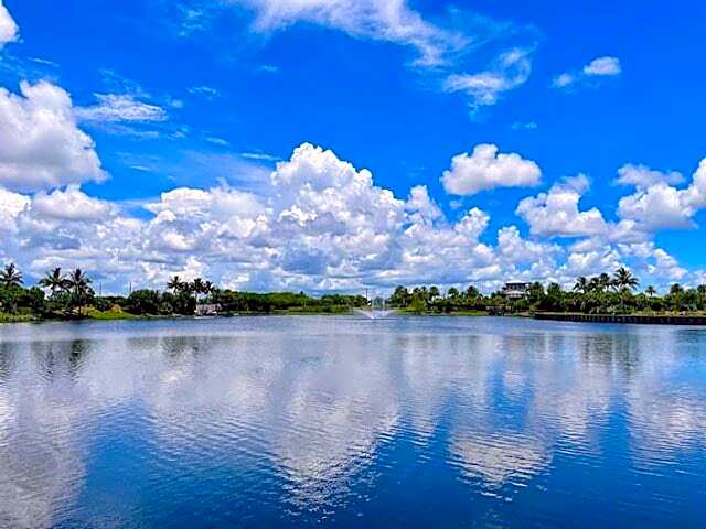 Hampton Inn & Suites Naples South