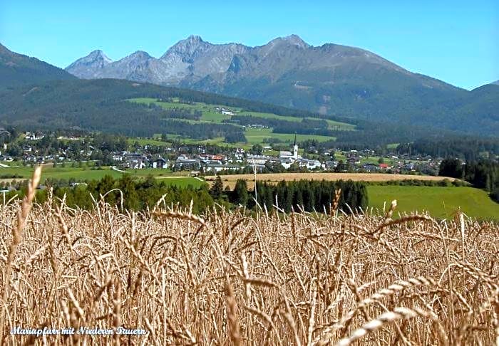 Ferienhütte Hoitahüttl