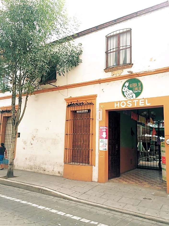 Hierba De Conejo Hostel