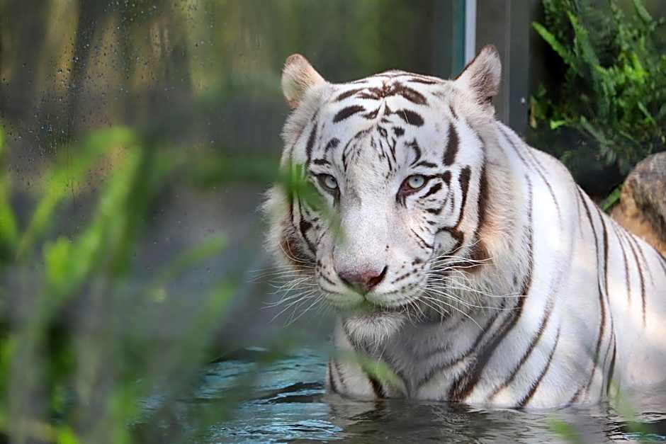 Sun Hotel Kokubu Kagoshima