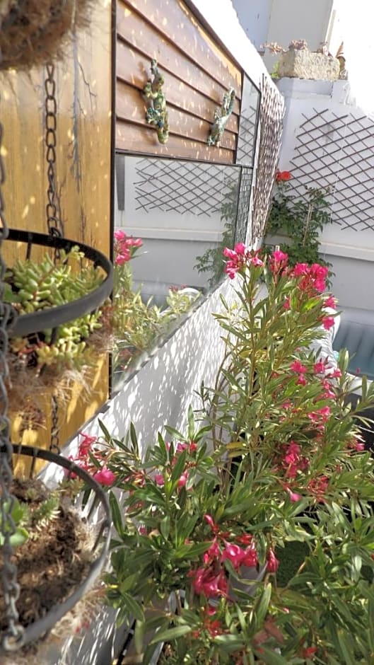 Le Petit Patio – Aigues Mortes, GA