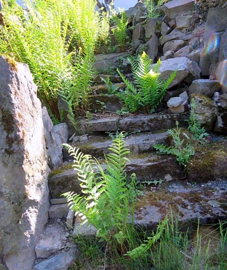 FeWo Landhaus Ederlust HeilungsRäume eV