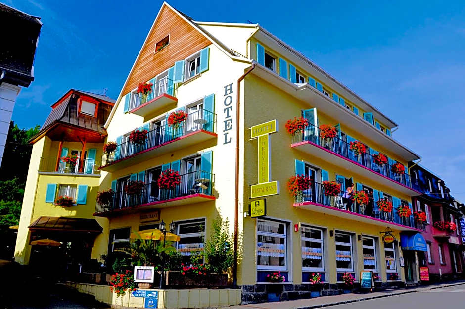 Logis Hôtel - Restaurant Aux Bruyères