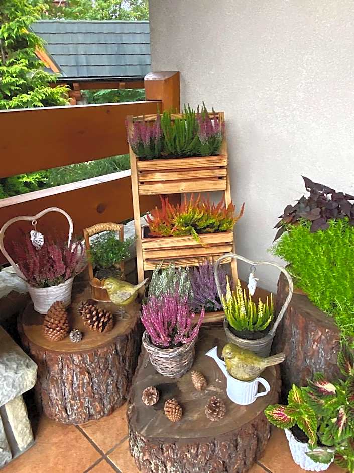 Leśny Dworek Zakopane