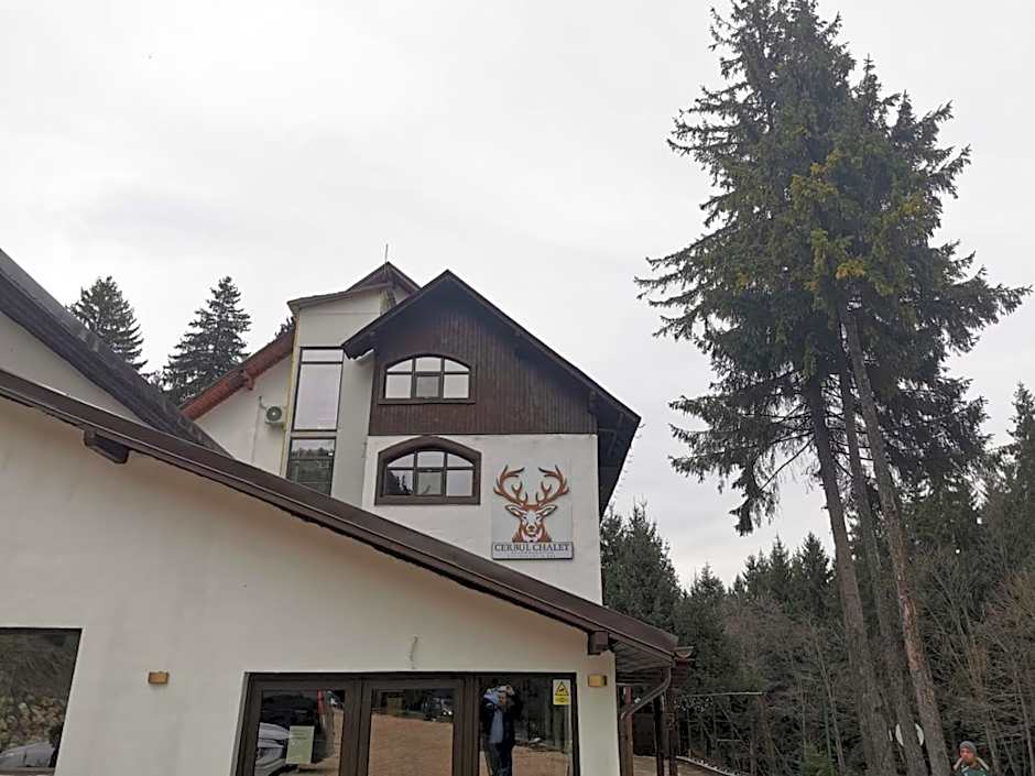 Cerbul Chalét Accommodation & Wellness