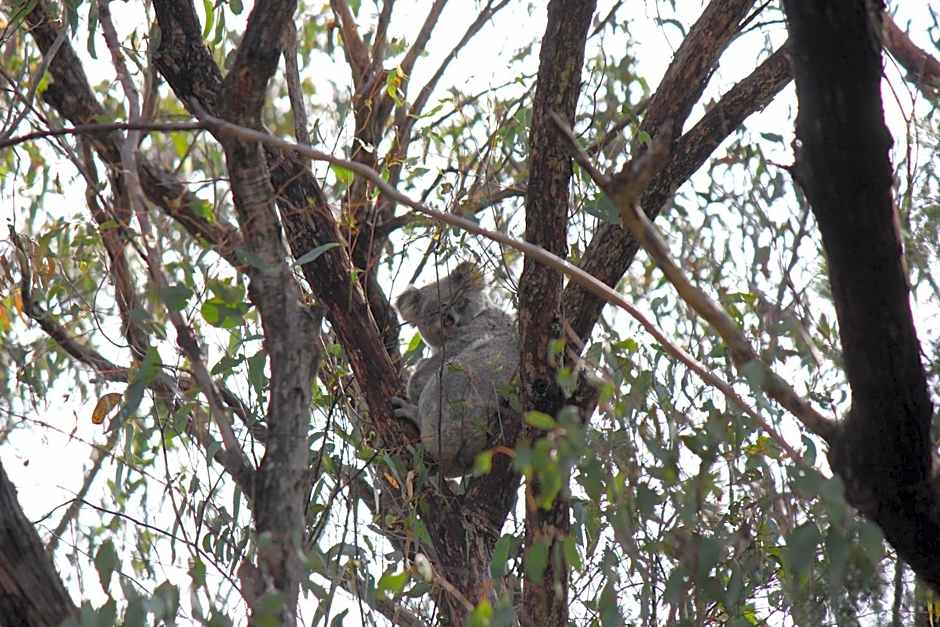 Granite Belt Retreat and Brewery