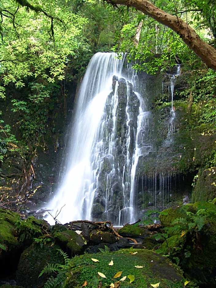 Surat Bay Lodge by the Sea/Backpackers Hostel