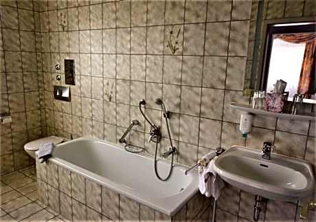Hotel Alena