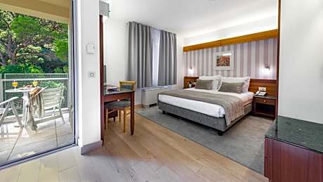 Double Room with Balcony and Park View