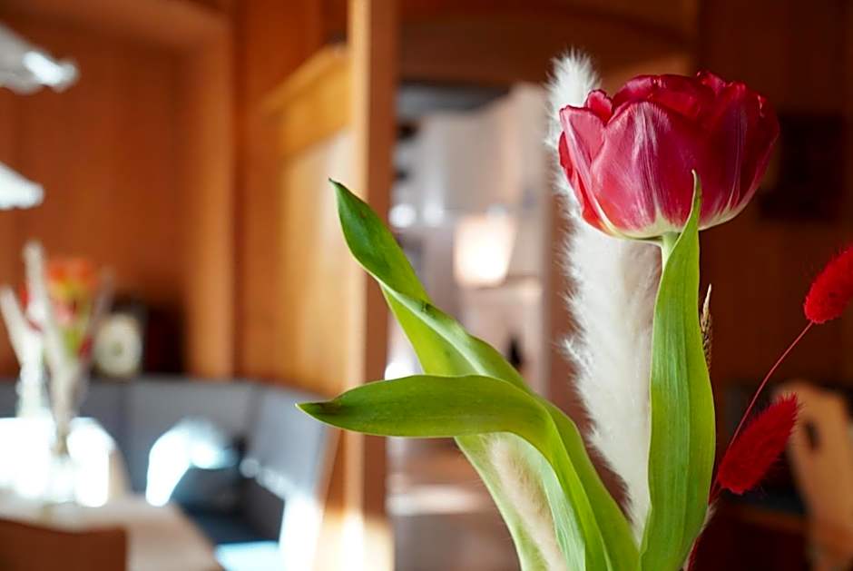 Historic Hotel Bircher B&B Apartments near Sterzing