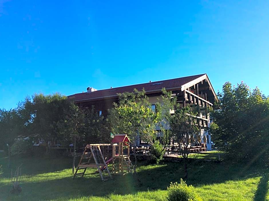 Alpinhotel INzeller