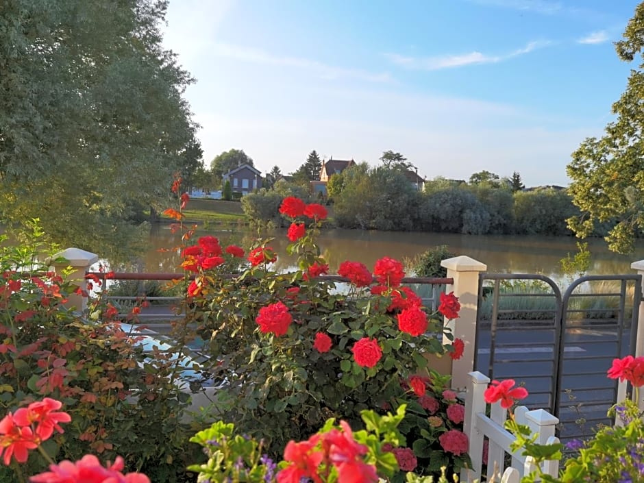 LES PINGOUINS DE LA MARNE