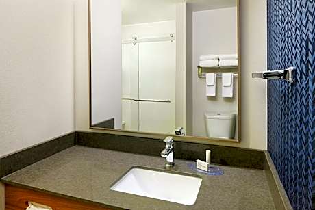 Suite, 1 Bedroom (1 King Bed)