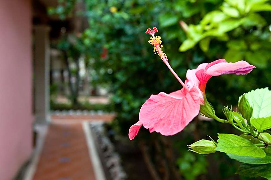Cabanas Maria Del Mar