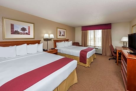 2 Queen Beds Family Studio Suite Non-Smoking