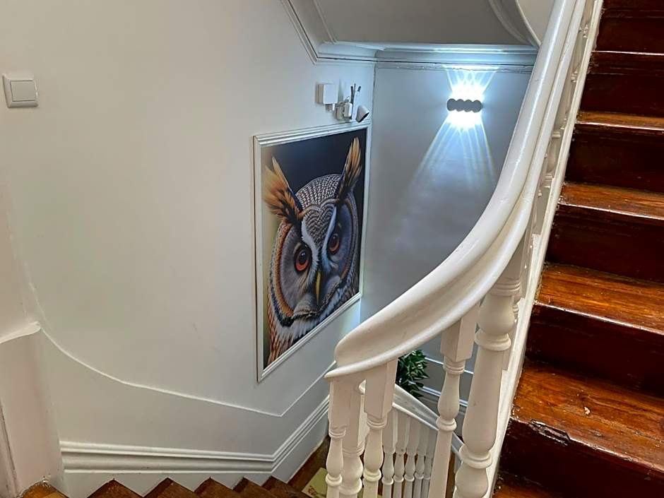 Owls Hostel Ildefonso