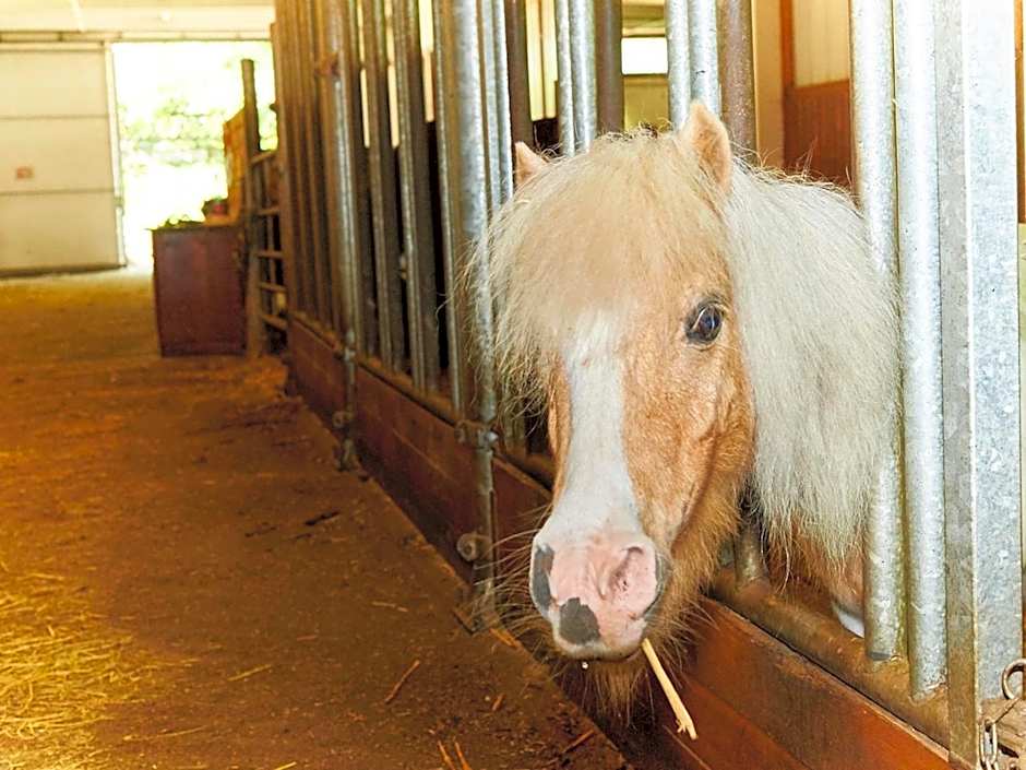 Familiengut Hotel Burgstaller