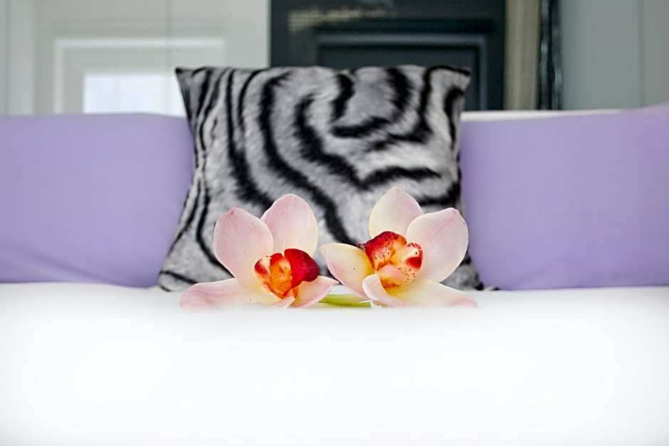 Absoluto Design Hotel