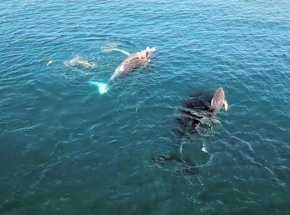 Mackerel Islands Resort