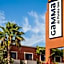 Gamma Tijuana