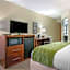 Comfort Inn Downtown Lookout Mountain Chattanooga