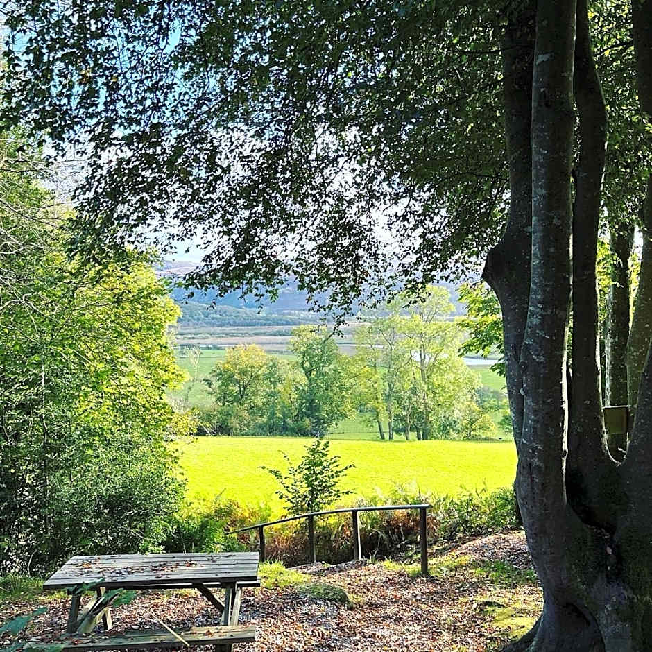 Llety Brynawel Guest House