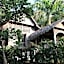 Bon Ton Antique Wooden Villas